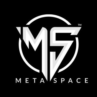 Metaspace logo
